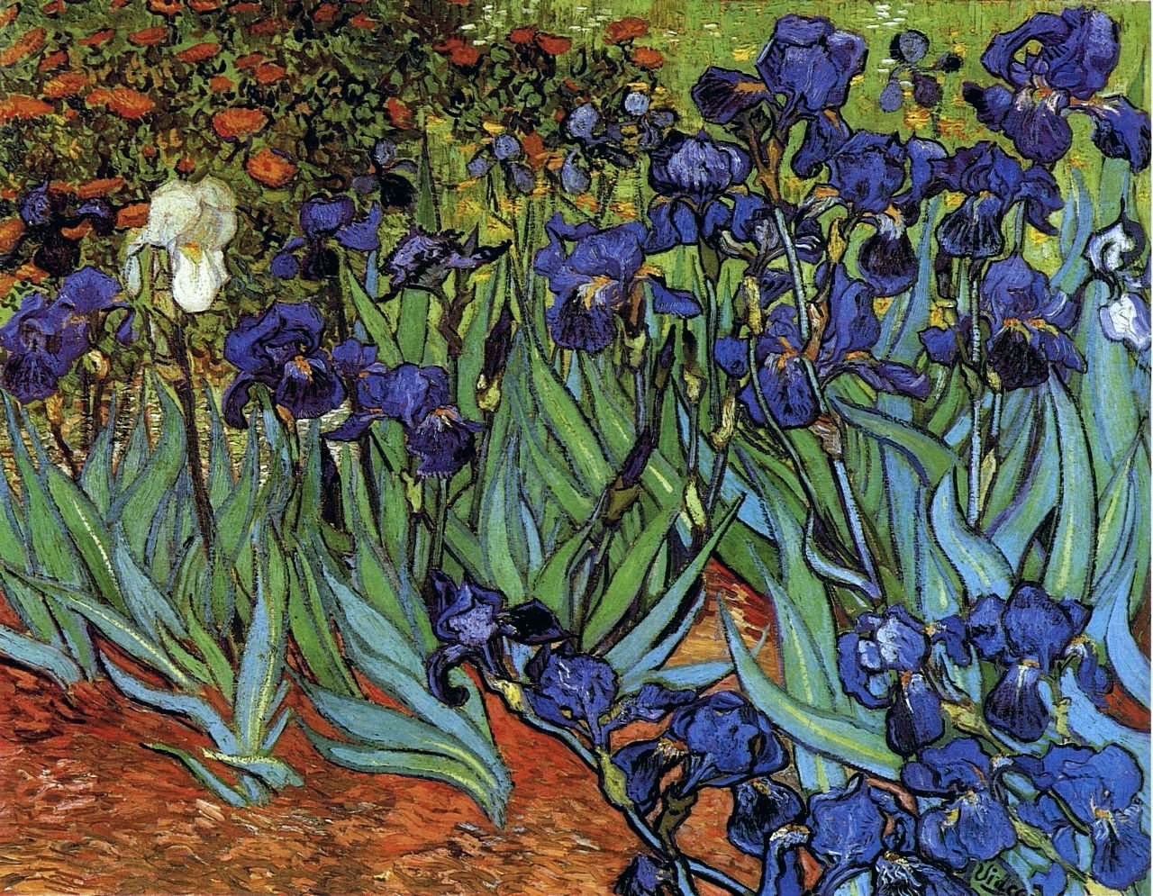 Vincent van Gogh Irises 1889