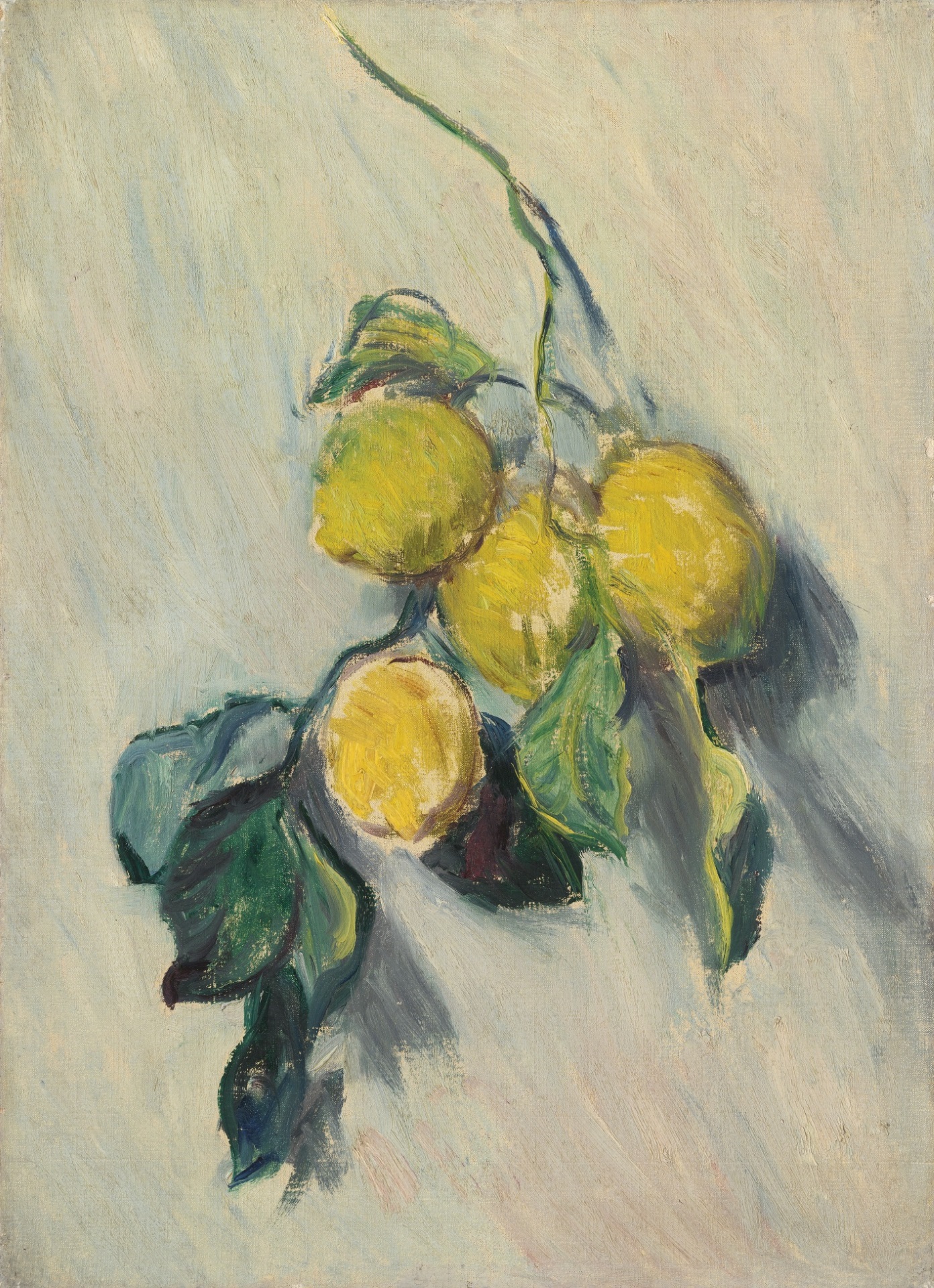 Claude Monet - Branche de citronnier 1884