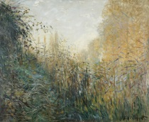 Claude Monet - Etude de joncs 1876