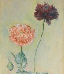 Claude Monet - Pavots rouge et rose 1883