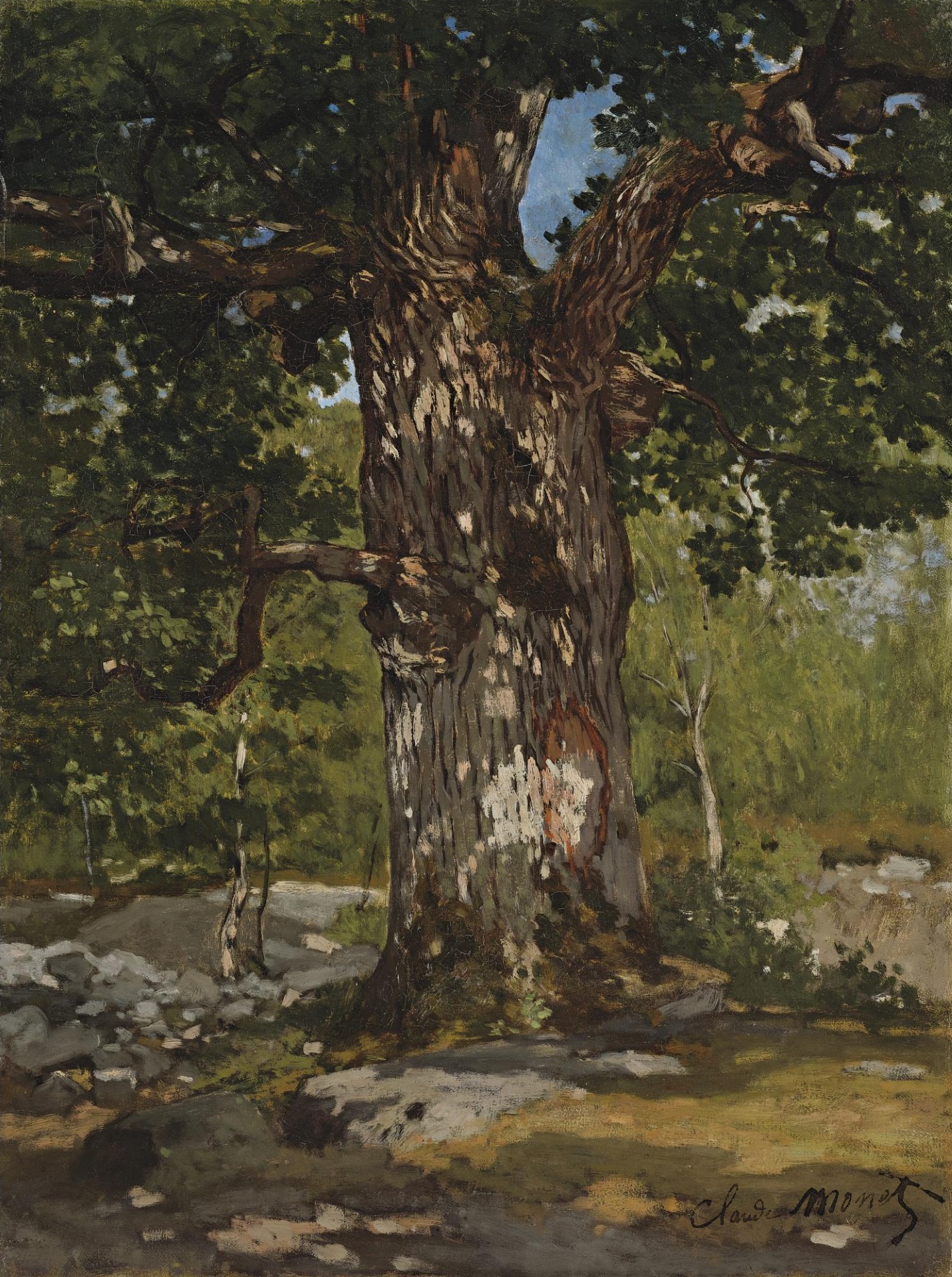 Claude Monet - Un Chêne au Bas-Bréau, le Bodmer 1865